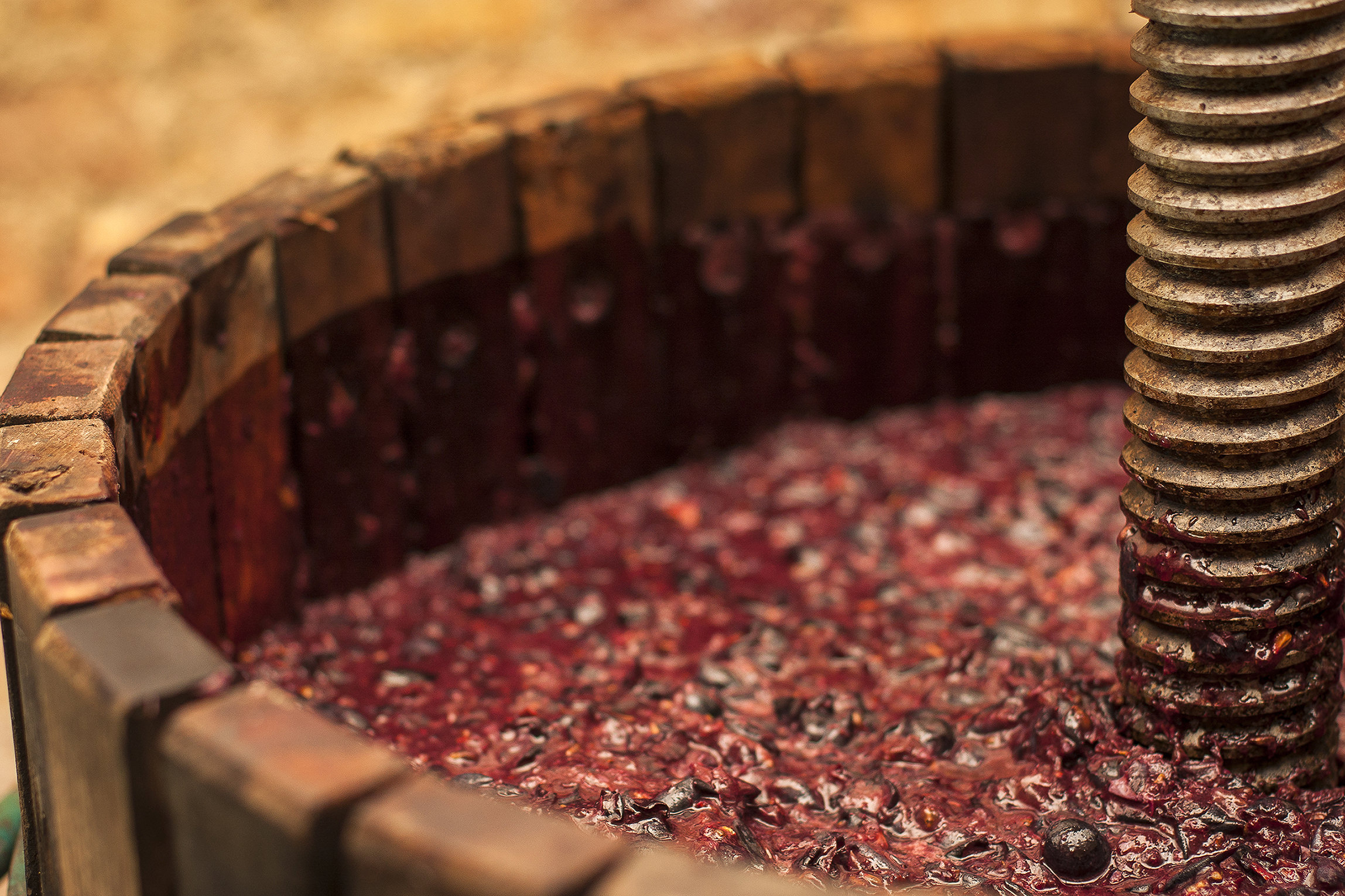 Ферментация вина. Сусло это в виноделии. Виноградный Муст. Брожение вина. Сусло из винограда.