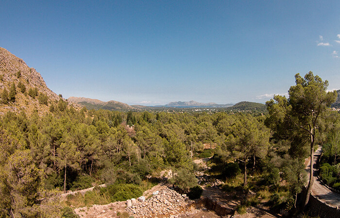 Plots for sale in Mallorca, the perfect choice