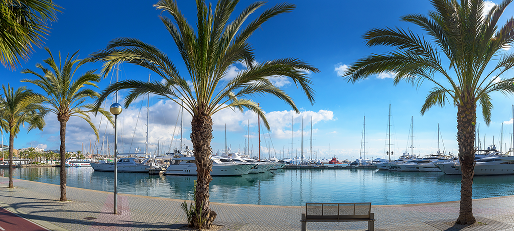 El nuevo Club de Mar de Palma acerca embarcaciones de lujo a la costa mallorquina